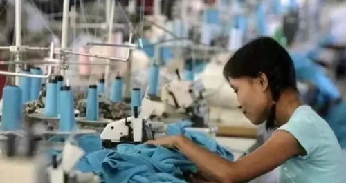 講一個(gè)扎心的真相 國(guó)家一直都在照顧底層,而底層卻在天天罵國(guó)家