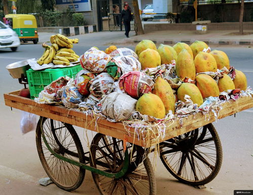 從街頭到餐桌 蔬菜與美食攝影的藝術(shù)